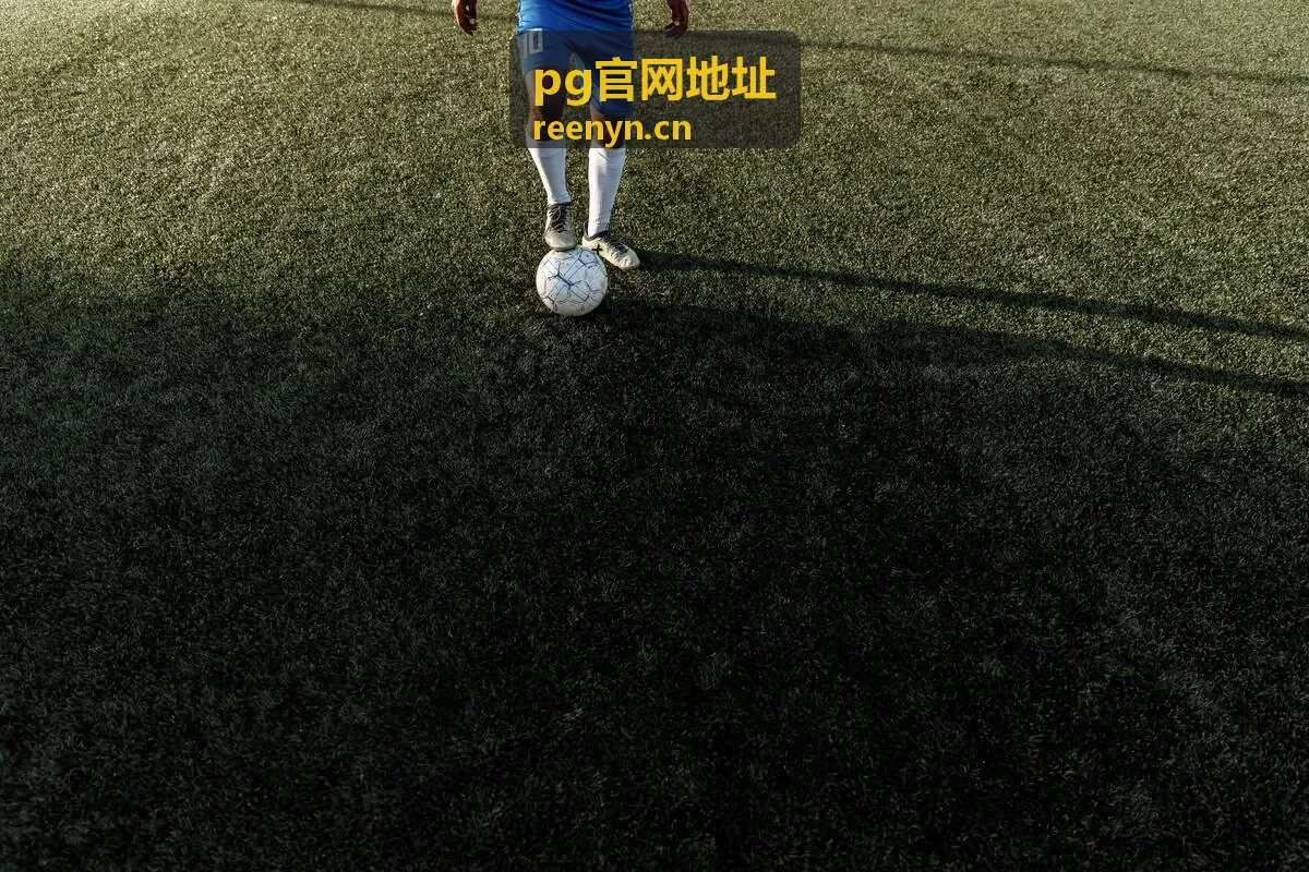 pg官网地址 功能与操作步骤配图
